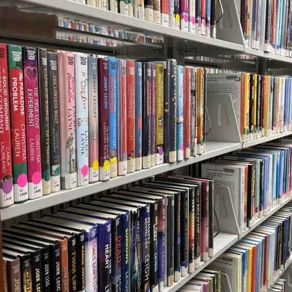 A library shelf full of large type books